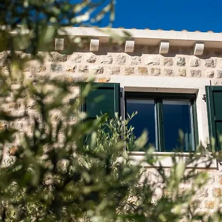 فيلة Vlamar - New Luxury House Goveđari